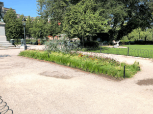 Kungsträdgården