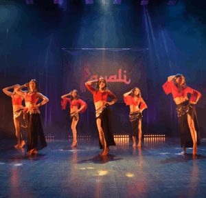 Layali Orientaliska Dansakademi AB