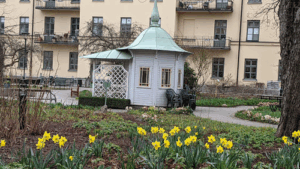 Sinnenas trädgård
