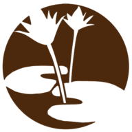 Sparadiset