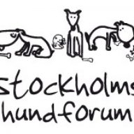 Stockholms Hundforum