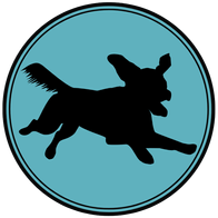 Urban Dogs